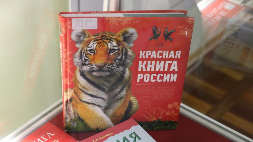 Красная книга