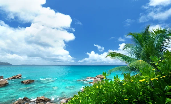 Море и тропические растения на остров Ла Диг-экскурсия на Сейшельских островах — стоковое фото