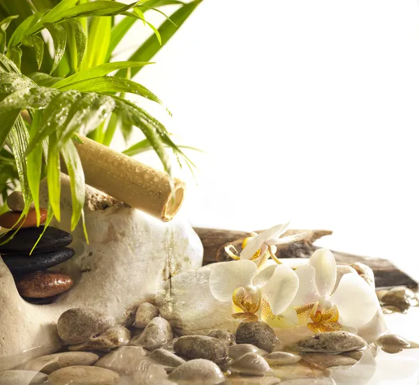 Орхидеи и zen камни с падающей воды спа концепции — стоковое фото