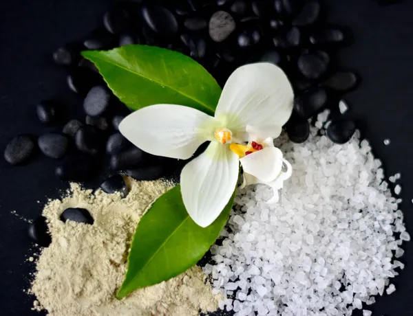 Морская соль & цветы — стоковое фото
