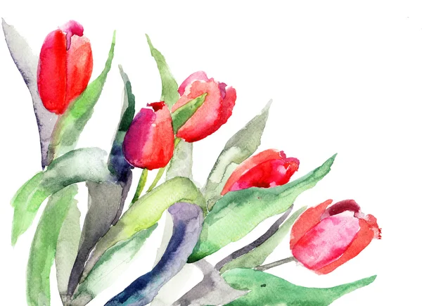 Стилизованные Иллюстрация цветы тюльпаны Лицензионные Стоковые Изображения