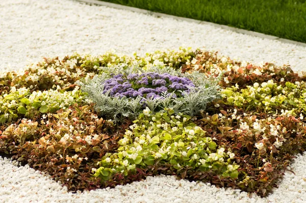 Весной сад цветочный фон Лицензионные Стоковые Фото