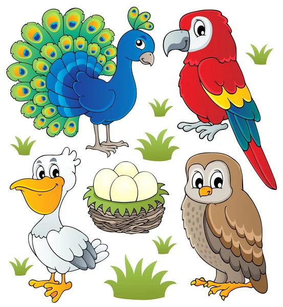 Различные птицы тема набор 2 — стоковый вектор