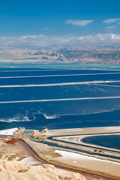 Бассейны растения Мертвое море Лицензионные Стоковые Изображения