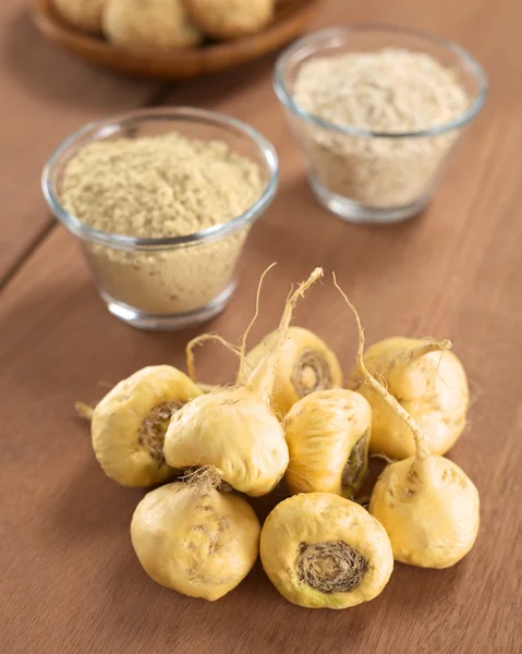 Maca корнями Стоковая Картинка