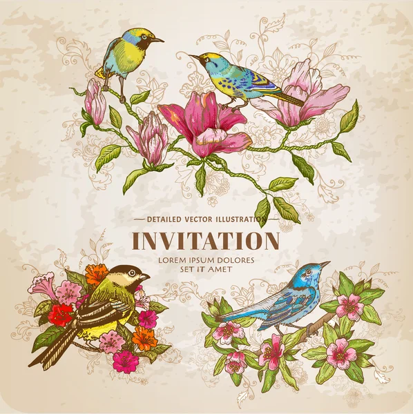 Набор старинных цветов и птиц - рисованной иллюстрации — стоковый вектор