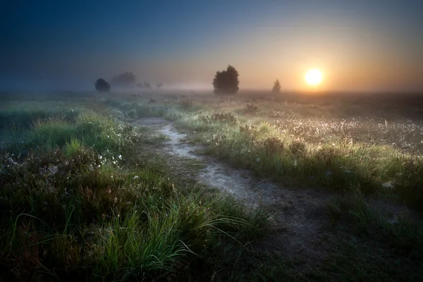 Туманный рассвет над сельской местности путь — стоковое фото