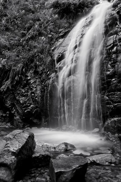 Watefall Лицензионные Стоковые Фото