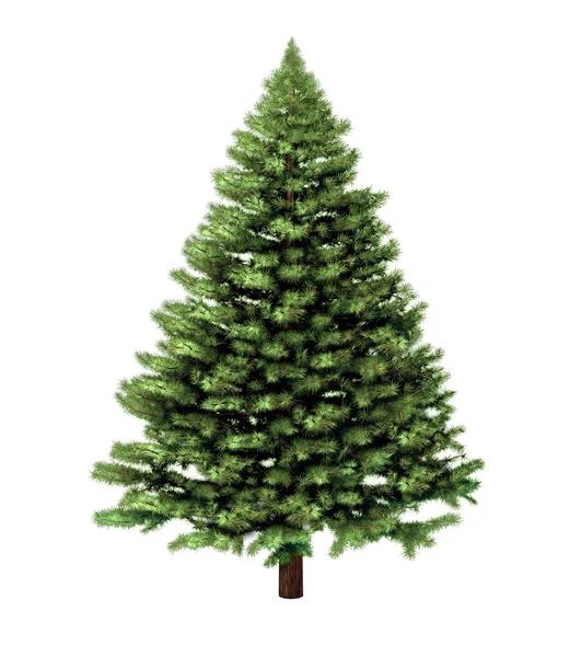 Рождественская елка Лицензионные Стоковые Изображения
