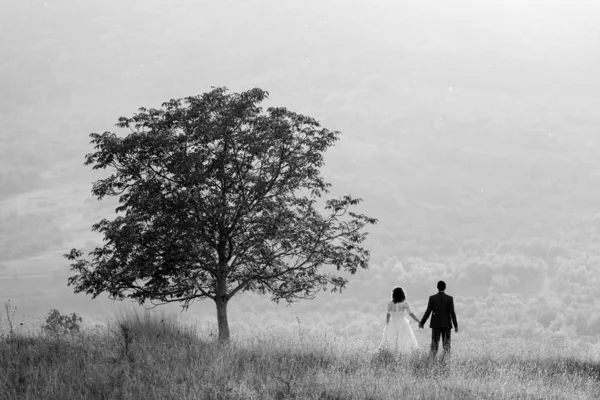 Молодой свадьбы пара Холдинг возле дерева, черно-белый Стоковое Изображение