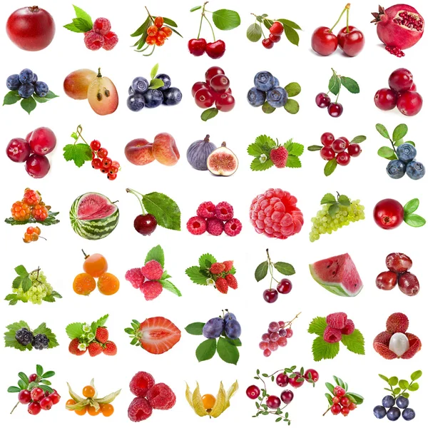Большой набор коллекция свежих спелых плодов и ягод закрыть объекты знак на белом фоне Лицензионные Стоковые Фото