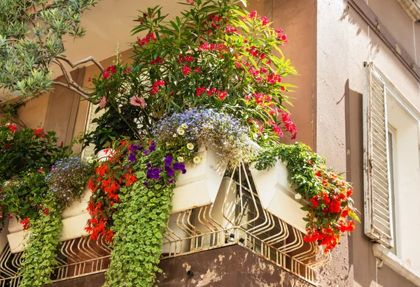 Цветы на балконе Стоковое Изображение