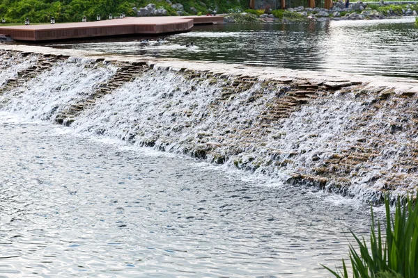 Небольшой водопад в летний парк — стоковое фото