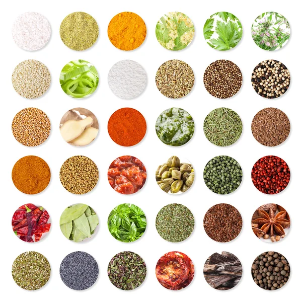 Collection of spices and herbs (clipping path) — стоковое фото