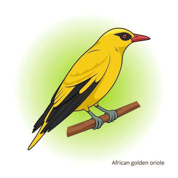 Африканских Иволга птица образовательные игры вектор — стоковый вектор