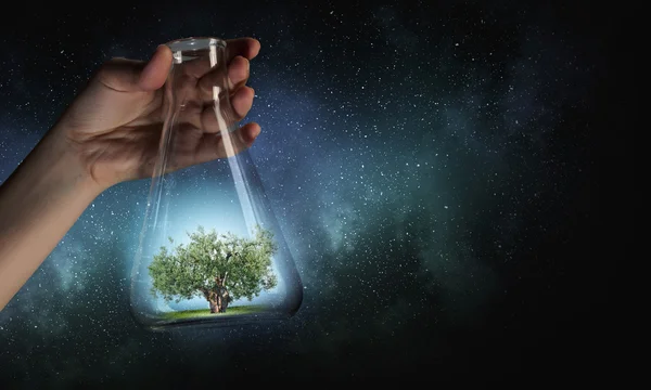 Дерево в стеклянную колбу. Смешанная техника Стоковое Фото
