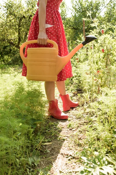 Женщина, полив растений Стоковое Фото