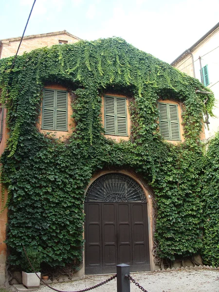 Старый дом переплетается с вьющихся растений Стоковое Изображение