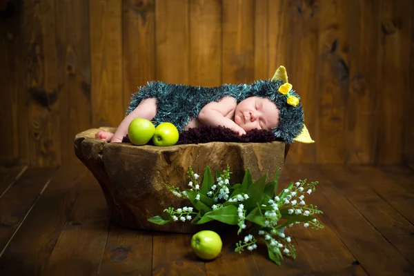 Смешные новорожденных маленькая девочка в костюме ежа, сладко спать на пне Стоковое Изображение