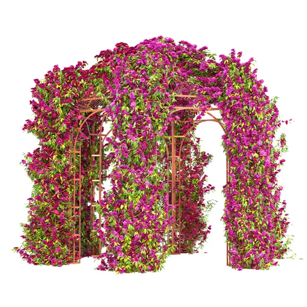 Цветы в фигурных беседка беседки Стоковое Фото