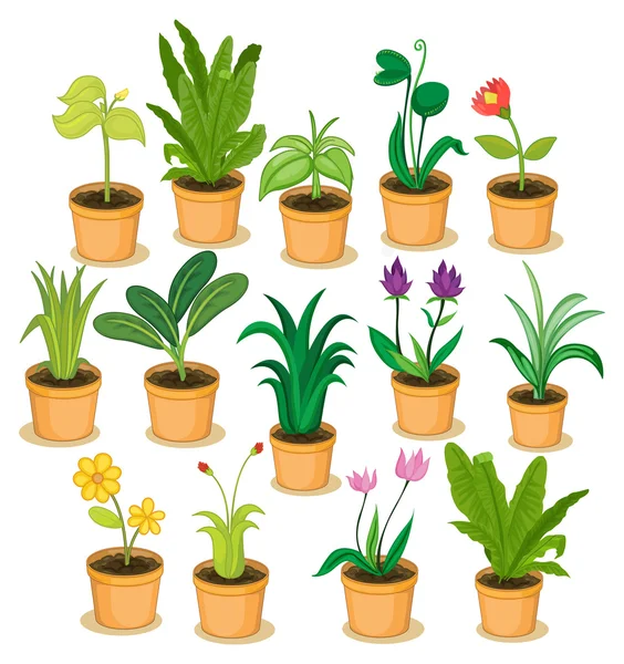 Комнатные растения и цветы — стоковый вектор