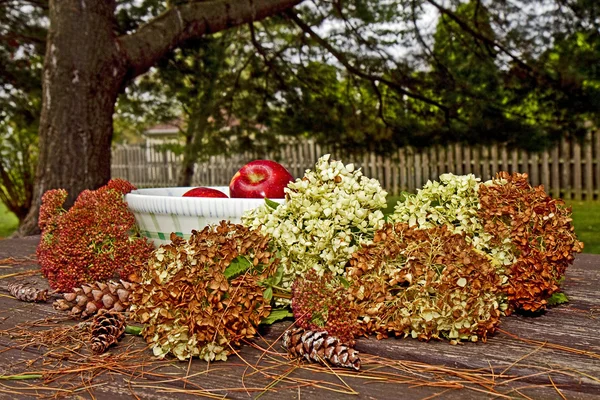 Группа яблок осеннего сезона Стоковое Изображение