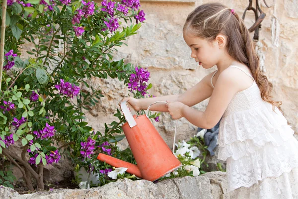 Девочка полива растений в саду Лицензионные Стоковые Фото