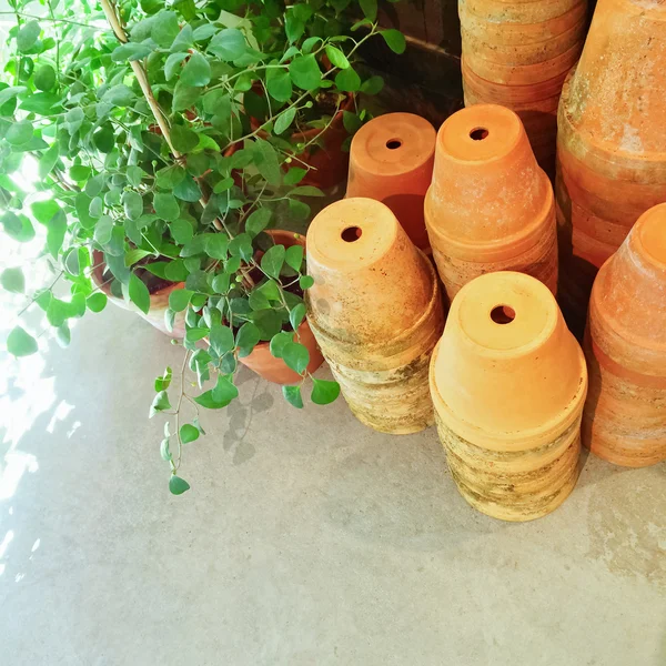 С накоплением глиняные горшки и зеленые растения — стоковое фото
