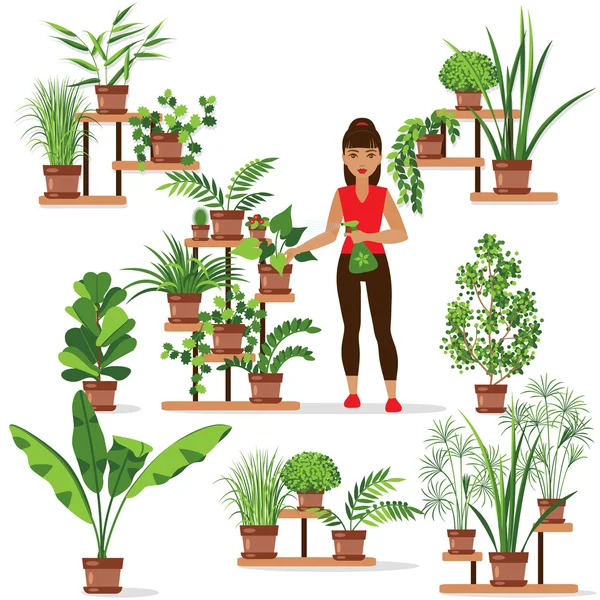 Заботить для комнатных растений — стоковый вектор