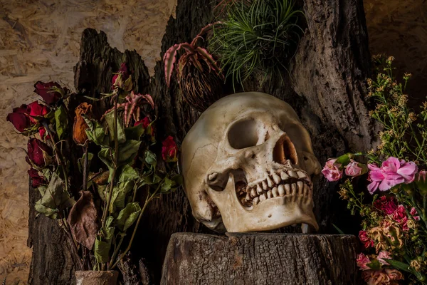 Натюрморт с человеческий череп с пустынных растений, кактусов, розы Лицензионные Стоковые Фото