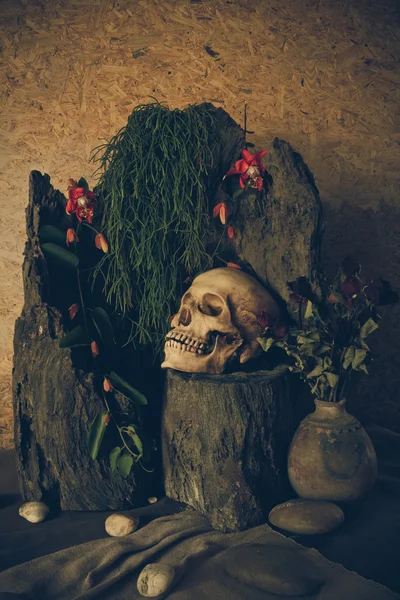 Натюрморт с человеческий череп с пустынных растений, кактусов, розы Лицензионные Стоковые Изображения
