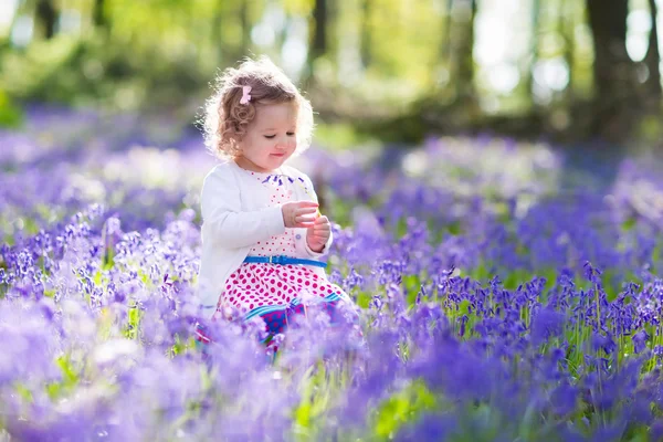 Little girl playing in bluebell flowers field Стоковое Изображение