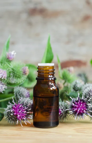 Small bottle of burdock extract (oil, tincture, infusion) Лицензионные Стоковые Изображения