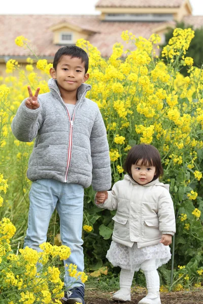 Японский брат и сестра (6 лет мальчик и 1-летняя девочка) в желтом поле горчица — стоковое фото