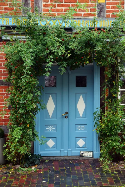 Синий дверь в историческом доме с вьющихся растений на Лицензионные Стоковые Изображения