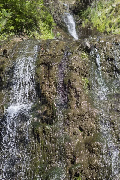 Живописный водопад в лесу весной Лицензионные Стоковые Фото