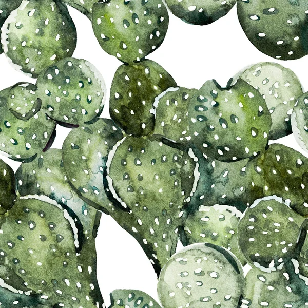 Акварельный образец кактуса Лицензионные Стоковые Фото