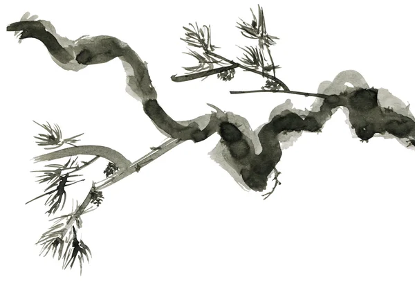 Сосновая ветвь, изолированные на белом фоне. Тушью в китайском стиле Стоковое Фото