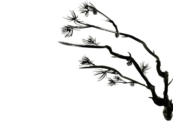 Ветви сосен, изолированные на белом фоне с пространства для текста... Тушью в китайском стиле Лицензионные Стоковые Фото