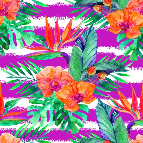 Тропический листья и цветы. Цветочный дизайн фона Стоковое Фото