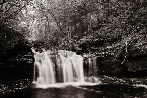 Водопады в черно-белом Стоковое Изображение