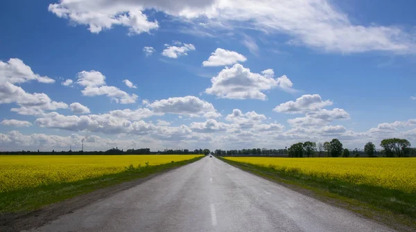 Пустой асфальтовая дорога между желтое цветение рапса поле в сельский пейзаж под голубым небом с белых пушистых облаков — стоковое фото