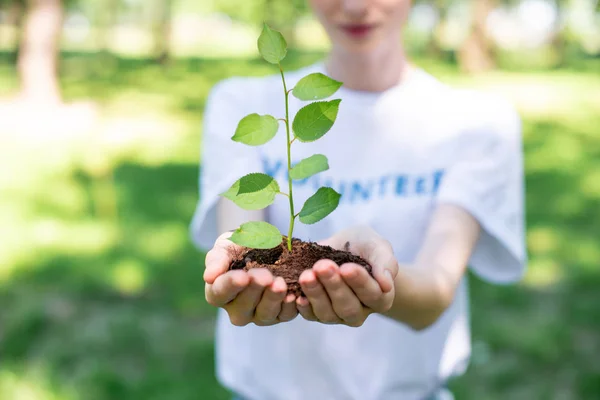 Cropped View Volunteer Holding Ground Seedling Hands Лицензионные Стоковые Фото