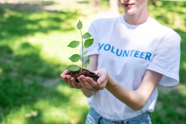 Cropped View Female Volunteer Holding Soil Sprout Hands Стоковое Фото