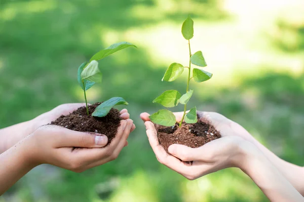 Cropped View Women Holding Soil Sprouts Hands Лицензионные Стоковые Фото