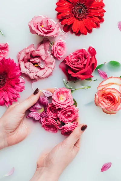 Partial View Woman Holding Pink Roses Hands Milk Arranged Flowers Стоковое Изображение