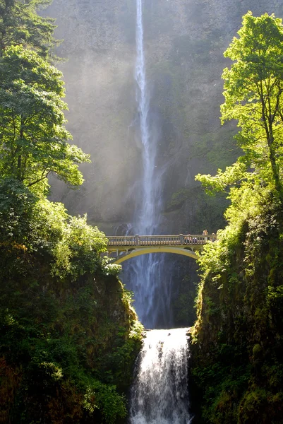 Водопады multnomah — стоковое фото