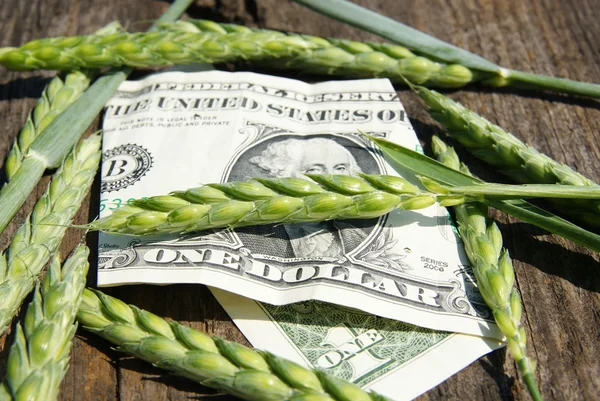 Ухо пшеницы и один доллар Лицензионные Стоковые Изображения
