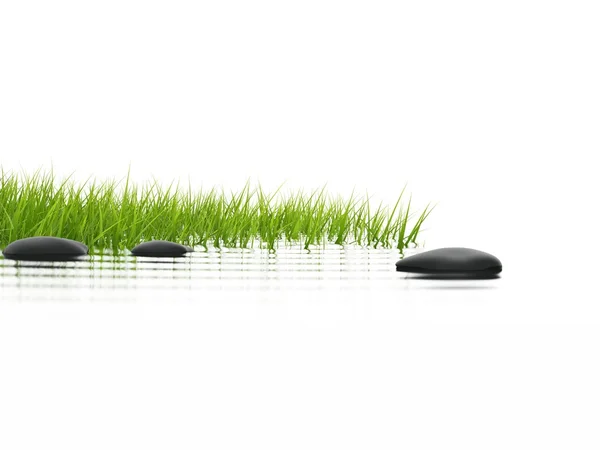 Зеленая трава с камнями отражать в воде Стоковая Картинка