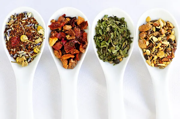 Различное травяное хорошее здоровье сушит чай в ложках — стоковое фото